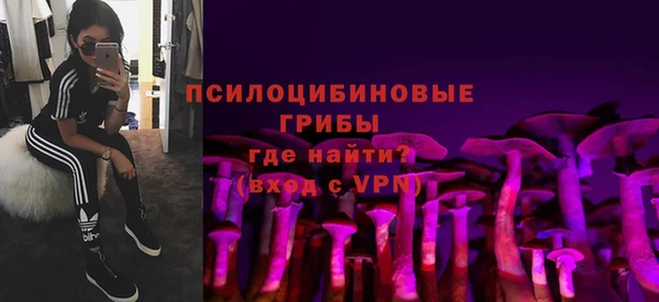 шишки Алексеевка