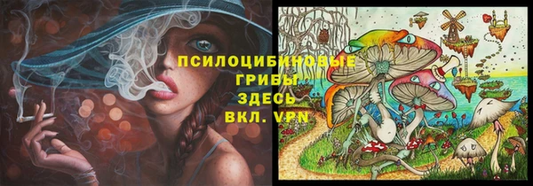 шишки Алексеевка