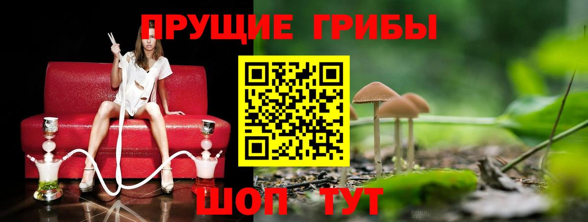 Галлюциногенные грибы мухоморы  закладки  Гуково  Вход с VPN 